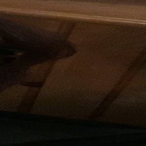 Meet your Posher, Jackie