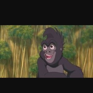 Meet your Posher, Luis