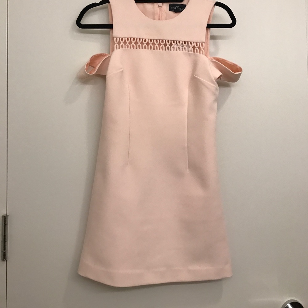 Top Shop Pink Petite Dress