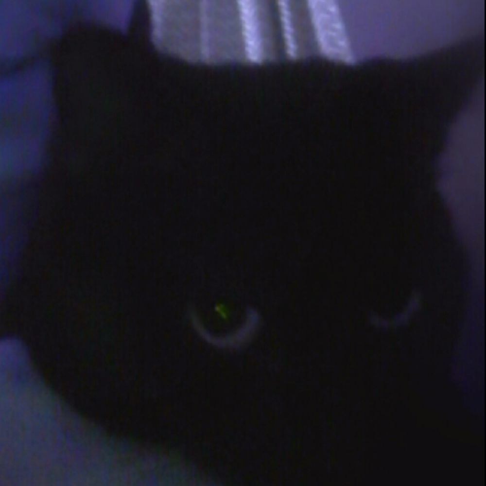 Meet your Posher, Lorretta