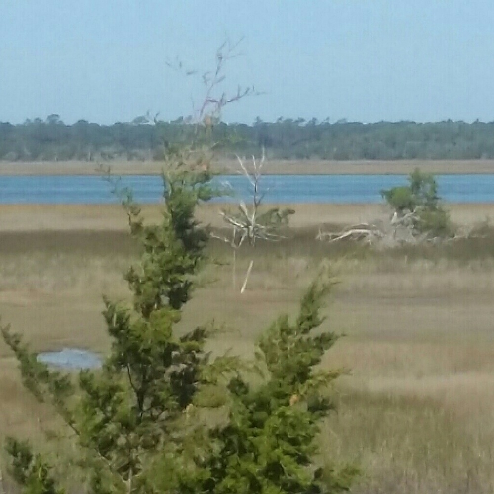 Meet your Posher, Ahmiyia