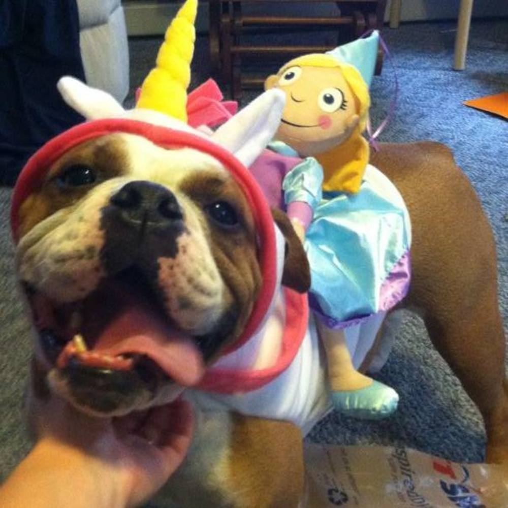 Meet your Posher, Abigail