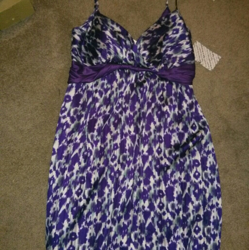 Max and Cleo (bcbg max Azria line) leopard dress