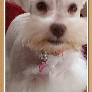 Meet your Posher, Debbie