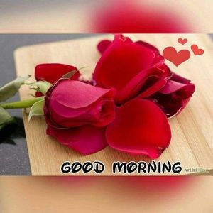 Meet your Posher, Devarshi