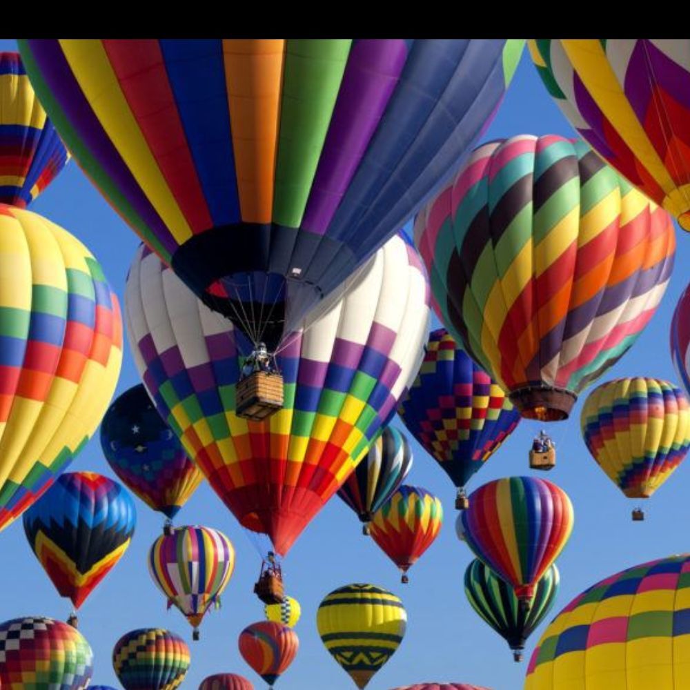 Meet your Posher, Danica