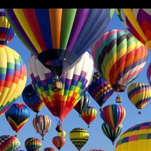 Meet your Posher, Danica