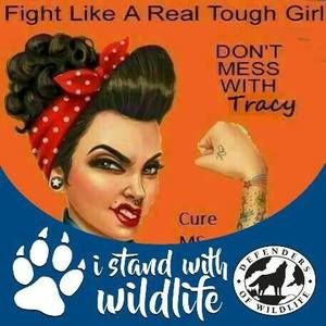 Meet your Posher, Robin