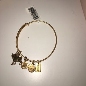 Never been worn Alex and Ani bracelet