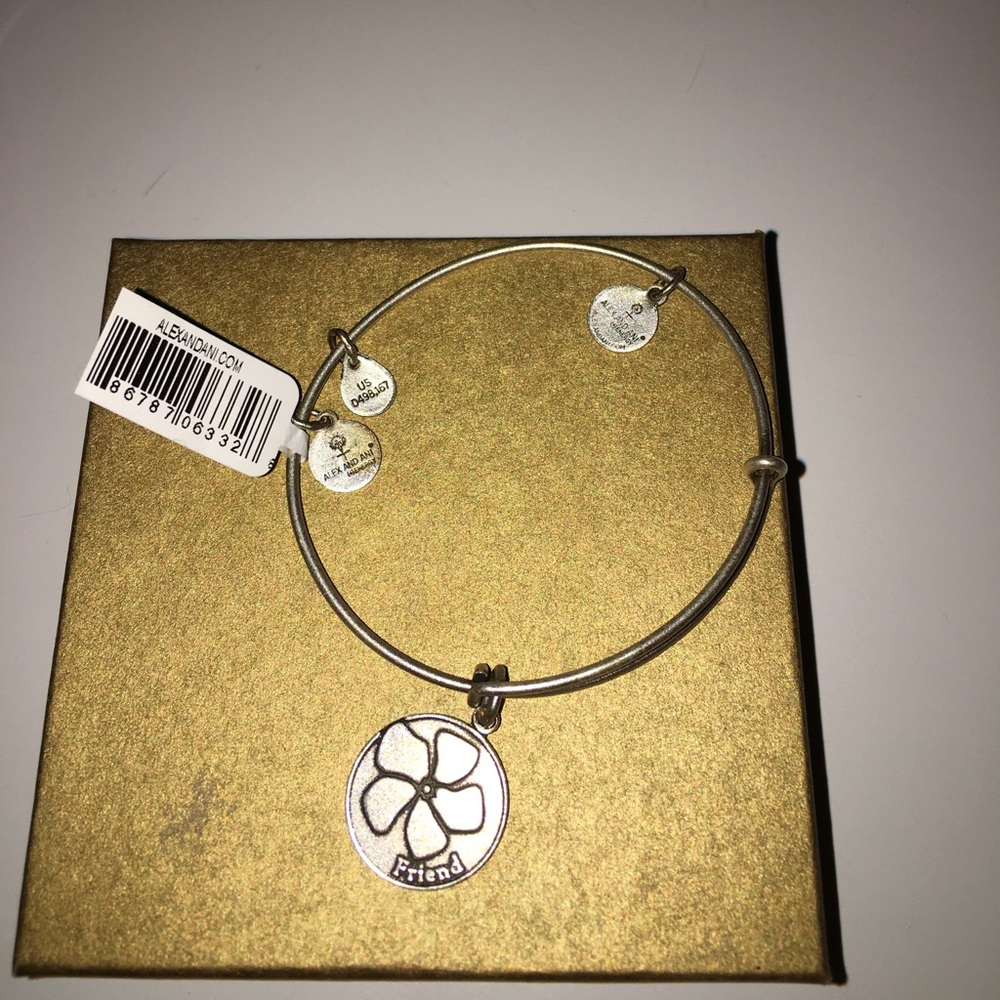 Never been worn Alex and Ani bracelet