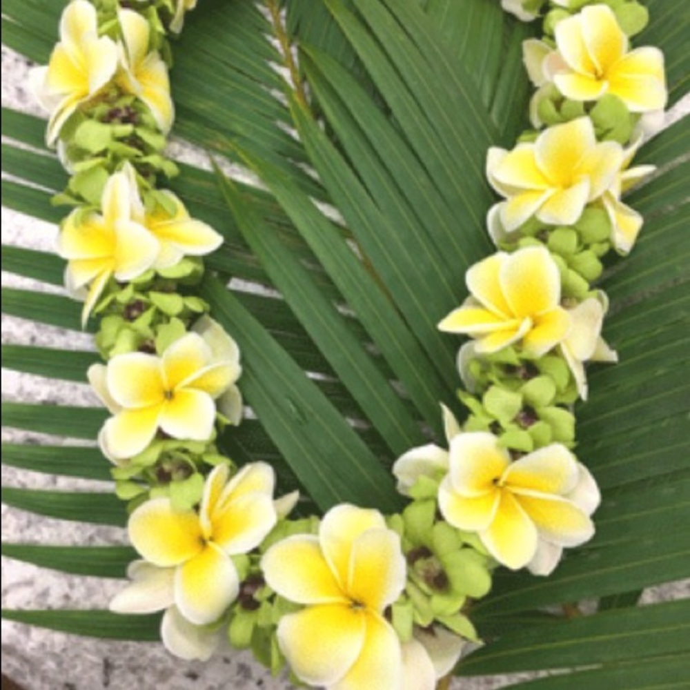 Meet your Posher, Cynthia