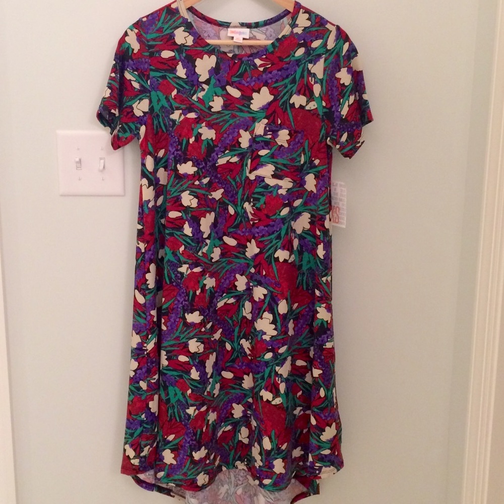 NWT Lularoe Floral Print XS Carly Dress!