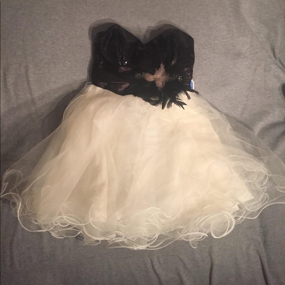 Sequin Feather Black and White Poof Mini Dress