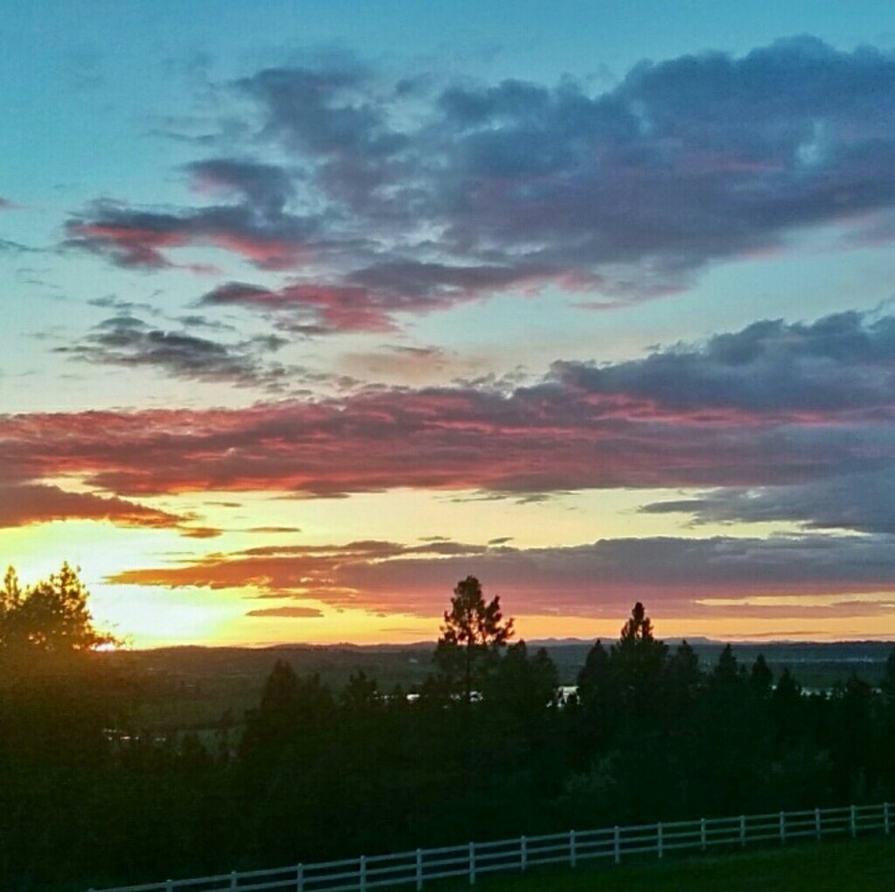 Meet your Posher, Caelyn