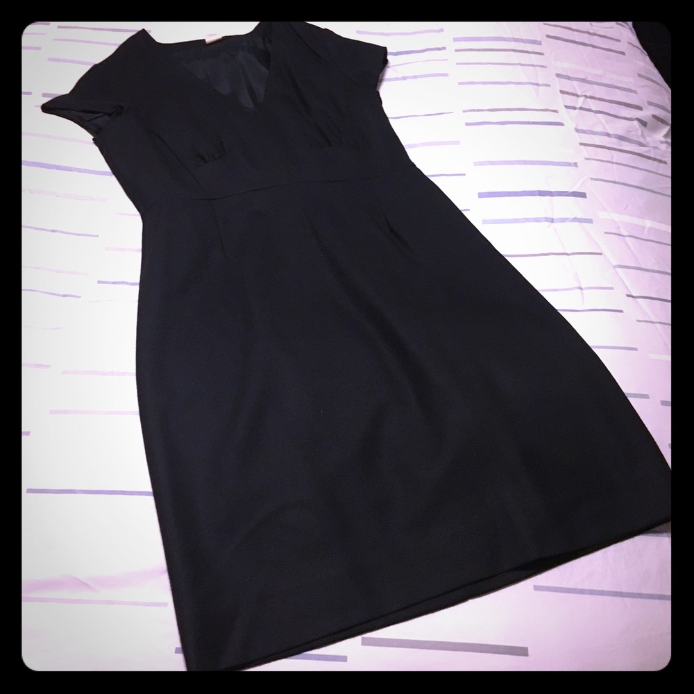 J. Crew Dress