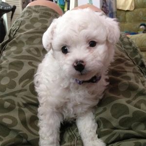 Meet your Posher, Elisabeth