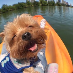 Meet your Posher, Danielle