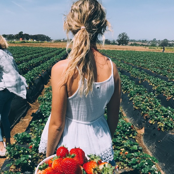 Meet your Posher, Kasey - Picture 7 of 7