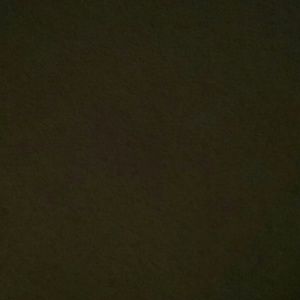 Meet your Posher, Janel