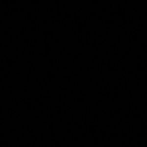 Meet your Posher, Adrienne