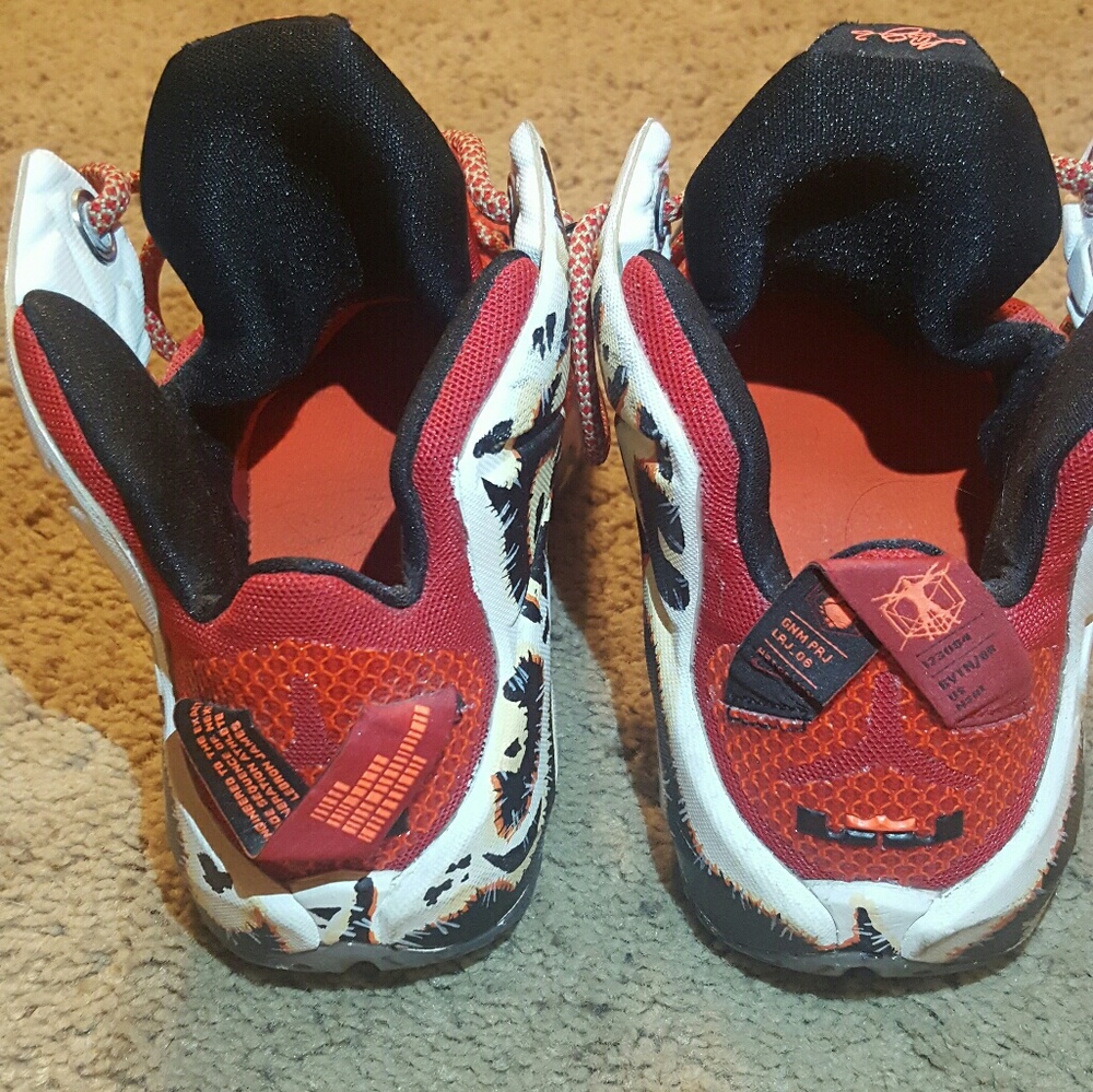Lebron 12 custom painted heart of a lion
