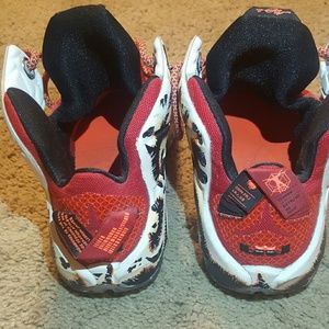 Lebron 12 custom painted heart of a lion