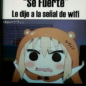 Meet your Posher, Karina