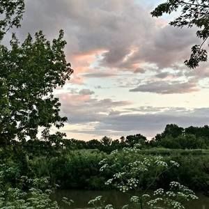 Meet your Posher, Joann