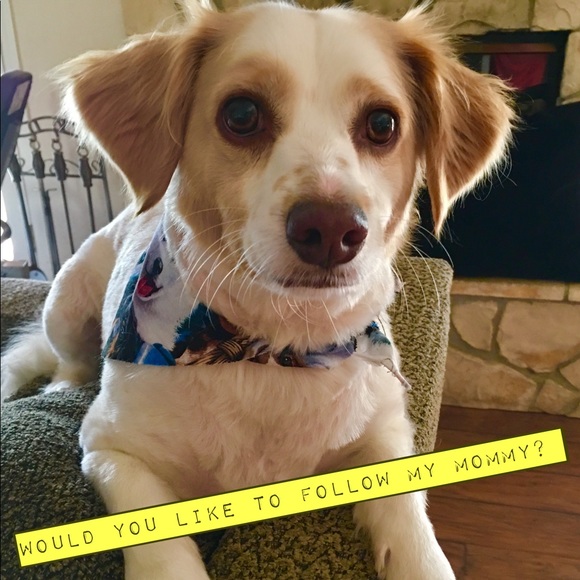 Other - 🐾  👣Please Keep Sharing, Let's Max This Out!!