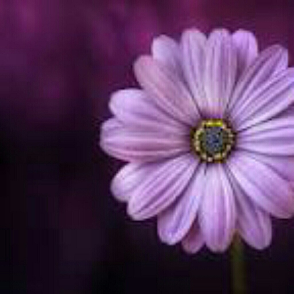 Meet your Posher, Lidia