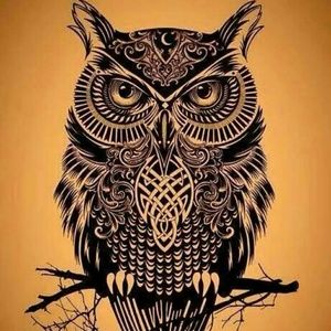 Meet your Posher, Lashonda