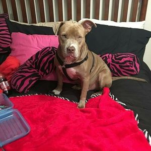 Meet your Posher, Debbie