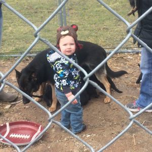 Meet your Posher, Dawn