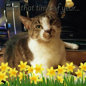 Meet your Posher, Theresa