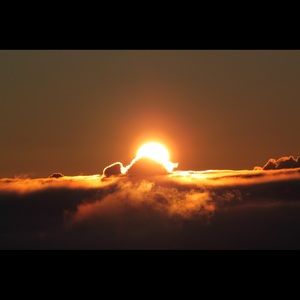 Meet your Posher, Billy