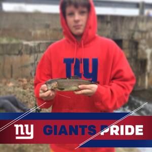 Meet your Posher, Blake