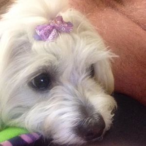 Meet your Posher, Deodato e aline