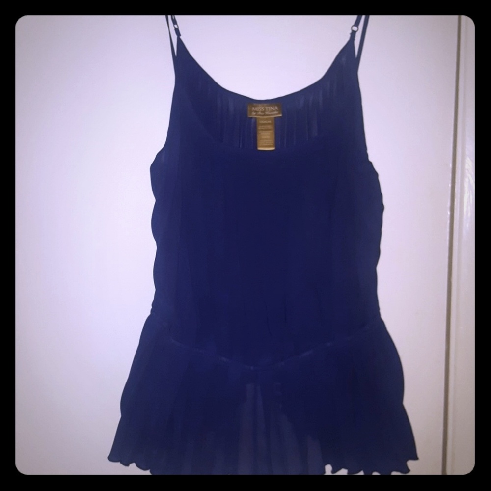 Blue Sheer Pleated Pellum Top