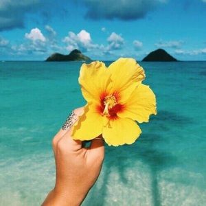 Meet your Posher, Jane