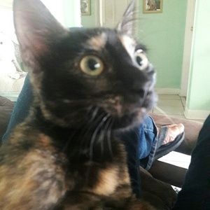 Meet your Posher, Stacy