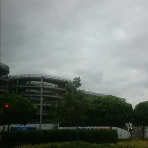 Meet your Posher, Zoey