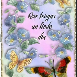 Meet your Posher, Mabel