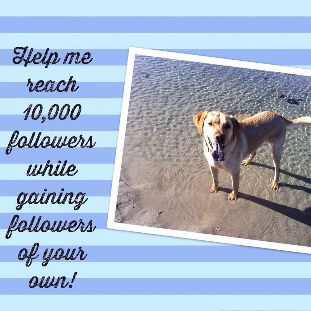 Almost full! 🌴Follow Game🌴 Like•Follow•Share - Picture 3 of 3
