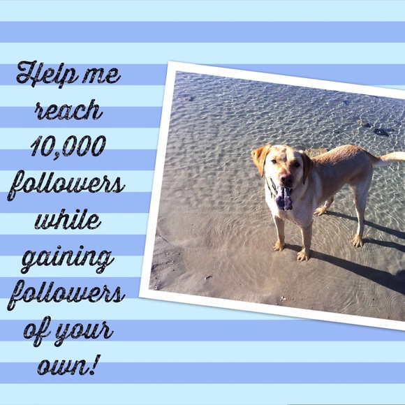 Almost full! 🌴Follow Game🌴 Like•Follow•Share - Picture 3 of 3