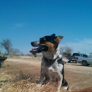 Meet your Posher, Donna