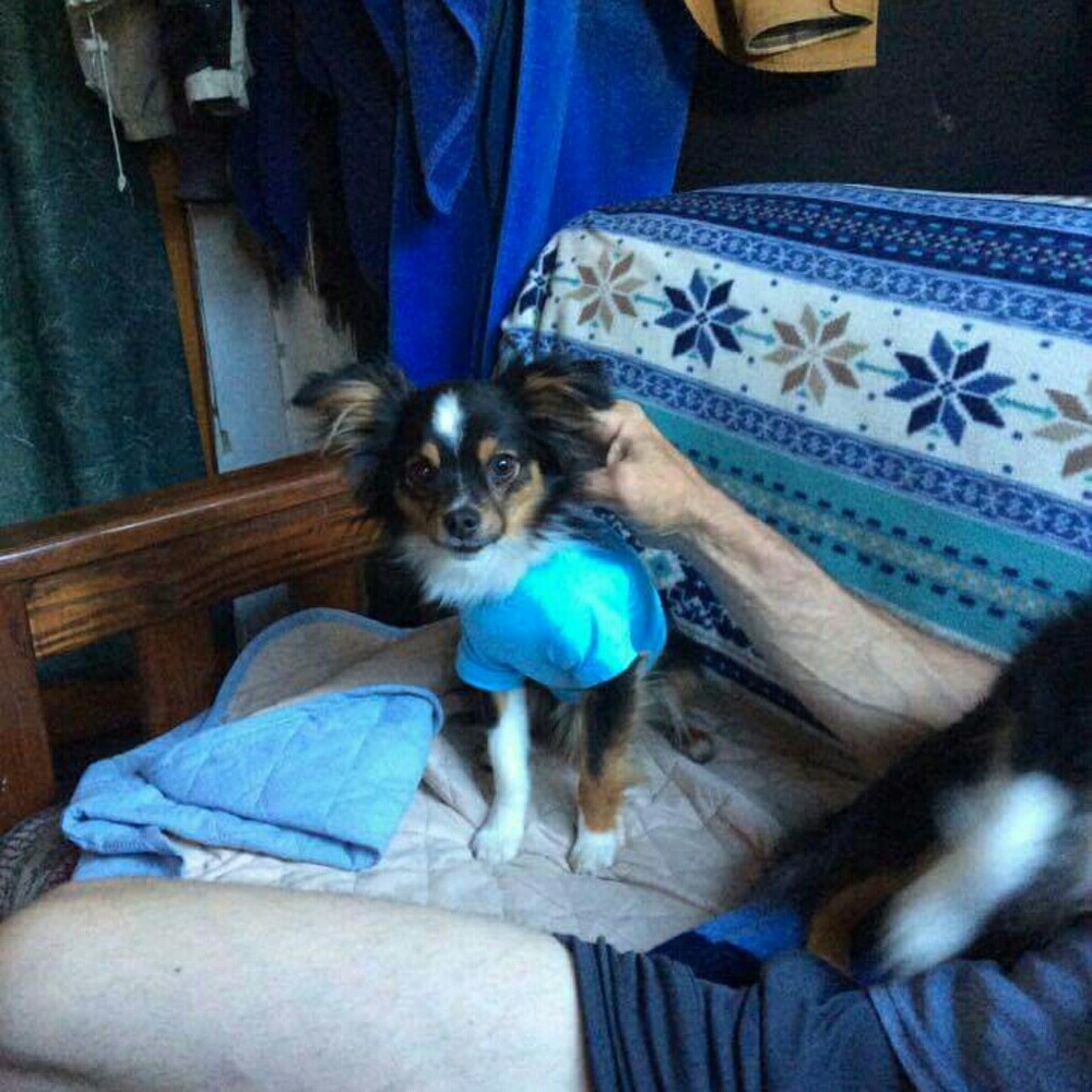 Max in his new sailor shirt! Thank you Darren