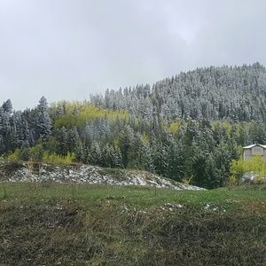 Meet your Posher, Suzanne