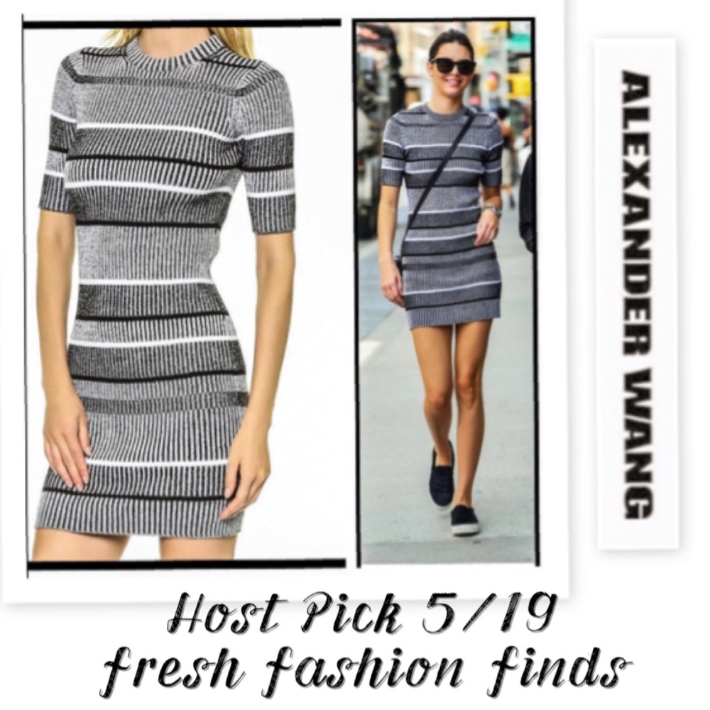 Alexander Wang Sweater Dress NWOT