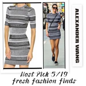 Alexander Wang Sweater Dress NWOT