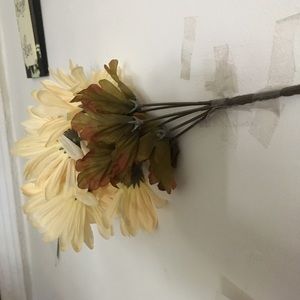 Meet your Posher, Lydie